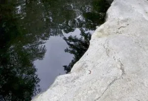 Stone-Curators-reclaimed-granite-ledge-pond-coping-natural_MG_1131