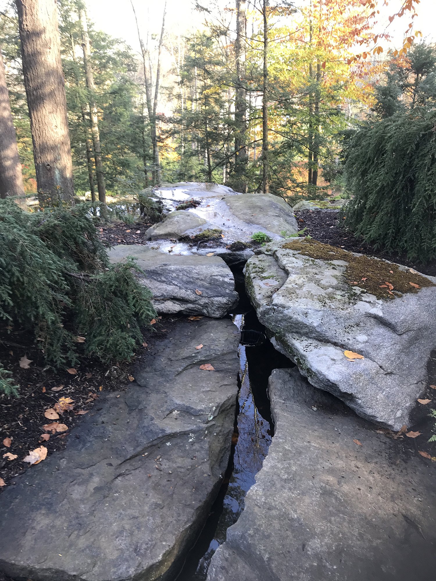 my second home mt kisco ny